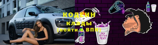 сатива Сатка