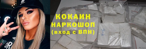 сатива Сатка