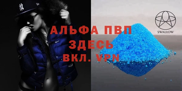 сатива Сатка