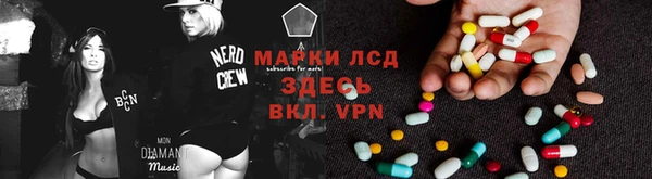 сатива Сатка