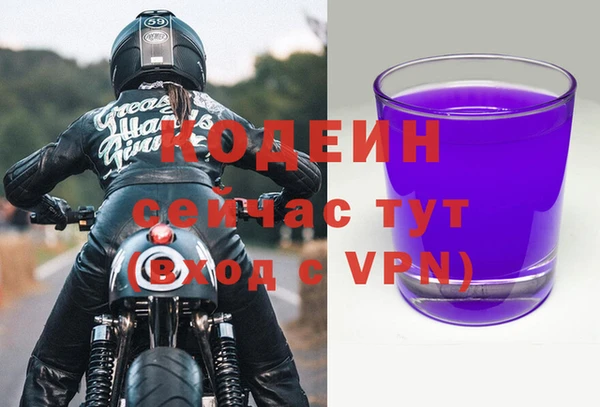 сатива Сатка