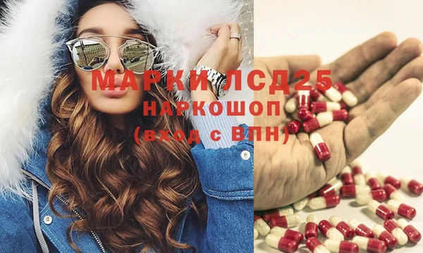 сатива Сатка