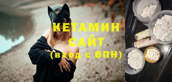 сатива Сатка