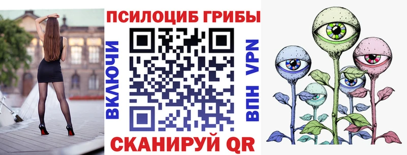 наркошоп  Тайга  Псилоцибиновые грибы Magic Shrooms 