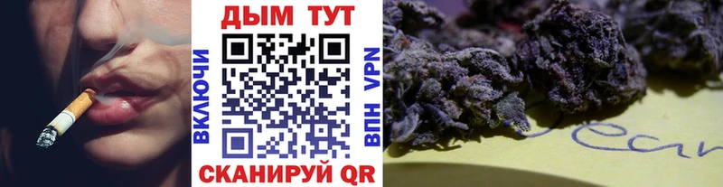 наркошоп  Тайга  МАРИХУАНА ГИДРОПОН 